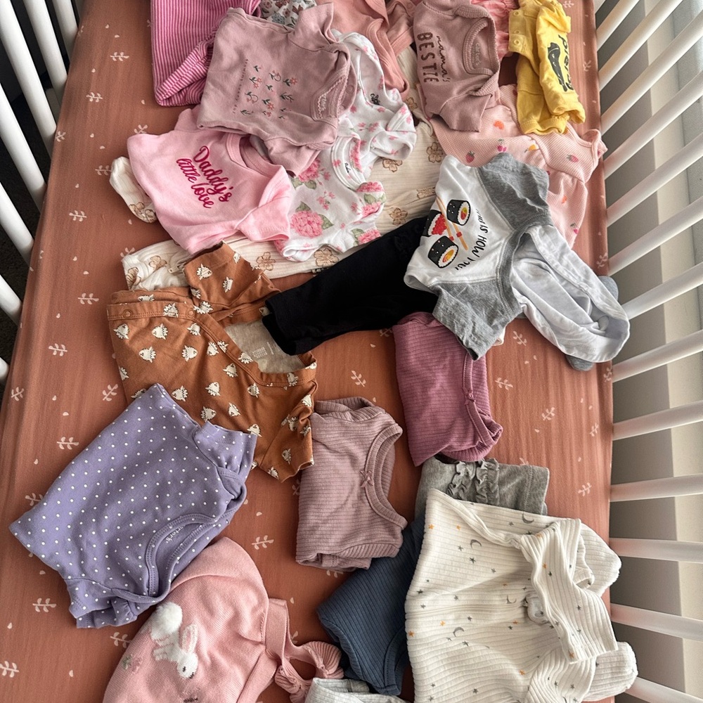 Assorted Baby Girl Clothing Lot